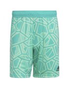 adidas Pantaloni scurti Poliester - Verde - Verde