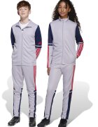 adidas Performance Pantaloni cu slituri cu fermoar - pentru fotbal - Gri deschis/Bleumarin