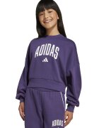 adidas Sportswear Bluza de trening din amestec de bumbac cu logo - Alb/Violet