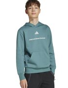 adidas Sportswear Hanorac cu buzunar kangaroo si imprimeu logo - Verde persan