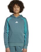 adidas Sportswear Hanorac cu logo si buzunar kangaroo - Verde persan