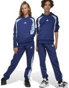 adidas Sportswear Pantaloni de trening cu insertii contrastante - Albastru inchis/Albastru deschis