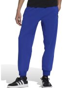 adidas Sportswear Pantaloni de trening relaxed fit cu snur Z.N.E. - Albastru royal