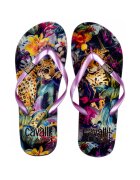 Cavalli Slapi barbati - colorati
