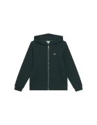 Lacoste Hanorac copii verde