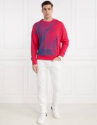 Armani Exchange Hanorac | Regular Fit