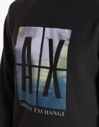 Armani Exchange Hanorac | Regular Fit