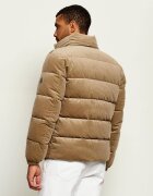 BOSS BLACK Geacă C-Claudion | regular fit | catifea reiată