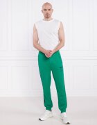 BOSS Green Pantaloni de trening BOSS X AJBXNG Hover AJ | Regular Fit