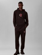Calvin Klein Jeans Hanorac 350TERRY | regular fit