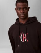 Calvin Klein Jeans Hanorac 350TERRY | regular fit