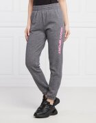 DKNY Sport Pantaloni de trening LAYERED | Regular Fit