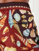 Dolce & Gabbana Șorți de baie | Regular Fit