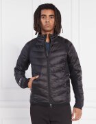 EA7 Geacă | Regular Fit