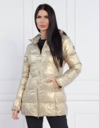 EA7 Geacă | Regular Fit