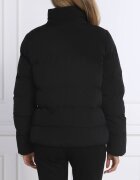 EA7 Geacă | Regular Fit