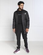 EA7 Geacă | Regular Fit