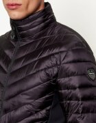 EA7 Geacă | regular fit