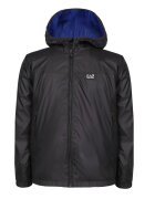 EA7 Geacă | Regular Fit