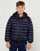 EA7 Geacă | Regular Fit