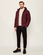 EA7 Geacă | regular fit