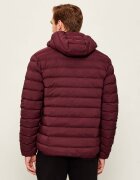 EA7 Geacă | regular fit