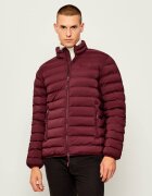 EA7 Geacă | regular fit