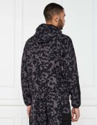 EA7 Geacă | Regular Fit