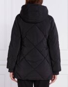 EA7 Geacă | Regular Fit