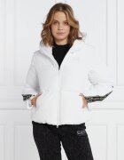 EA7 Geacă | Regular Fit