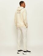 EA7 Hanorac | regular fit
