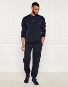 EA7 Hanorac | Regular Fit