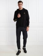 EA7 Hanorac | Regular Fit