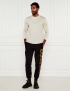 EA7 Longsleeve | Slim Fit