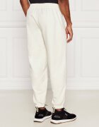 EA7 Pantaloni de trening | Modern fit