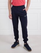 EA7 Pantaloni de trening | Regular Fit