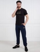 EA7 Pantaloni de trening | Regular Fit