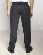 EA7 Pantaloni de trening | Regular Fit