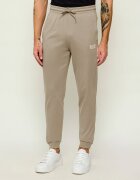EA7 Pantaloni de trening | regular fit