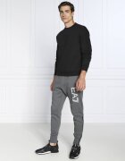 EA7 Pantaloni de trening | Regular Fit
