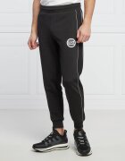 EA7 Pantaloni de trening | Regular Fit