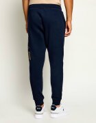 EA7 Pantaloni de trening | Regular Fit