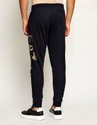 EA7 Pantaloni de trening | Regular Fit