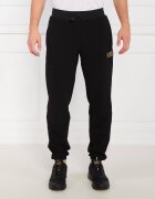 EA7 Pantaloni de trening | Regular Fit