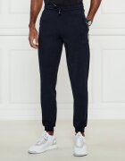 EA7 Pantaloni de trening | Regular Fit