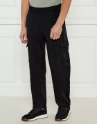 EA7 Pantaloni de trening | Regular Fit