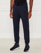 EA7 Pantaloni de trening | Regular Fit
