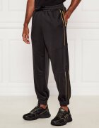 EA7 Pantaloni de trening | Regular Fit