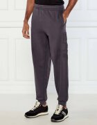EA7 Pantaloni de trening | Regular Fit
