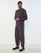 EA7 Pantaloni de trening | Regular Fit